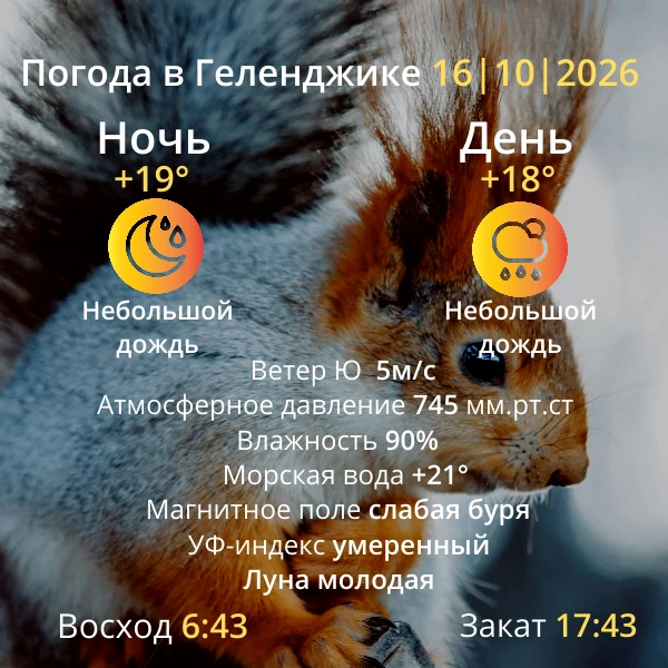 Погода на завтра