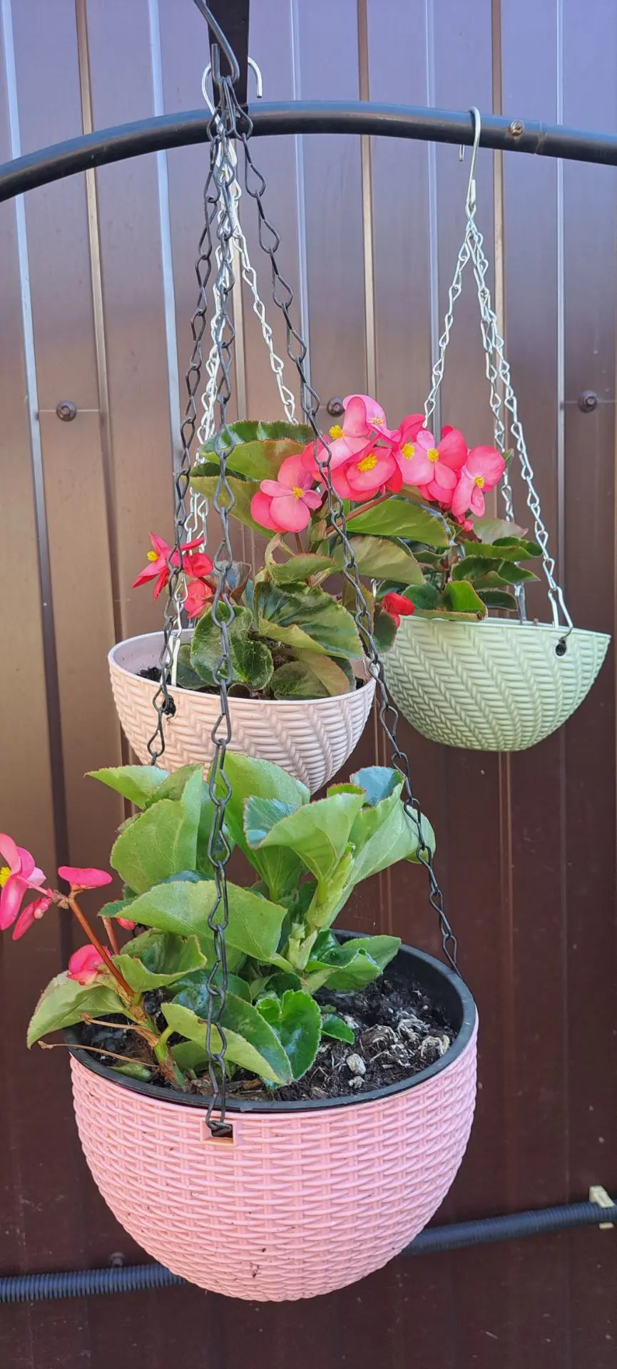 Отличного дня и настроения ❤️🌺🌸