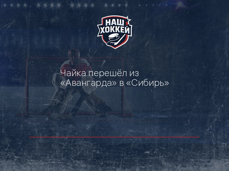 Чайка перешёл из "Авангарда" в "Сибирь"