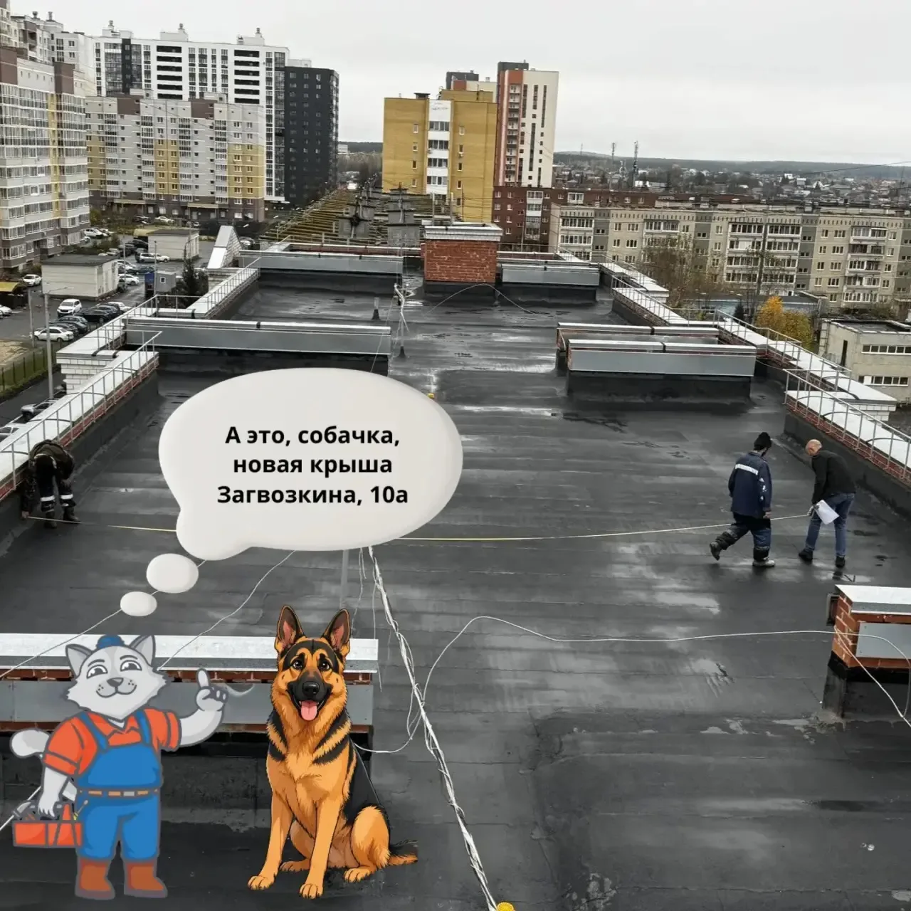 Собачка добралась и до нас!
