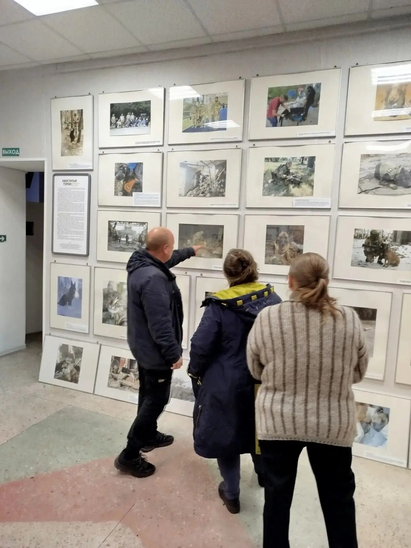 В Новоайдарском музее открылась выставка "Хвостатые герои на фронте и в тылу" посвященн...