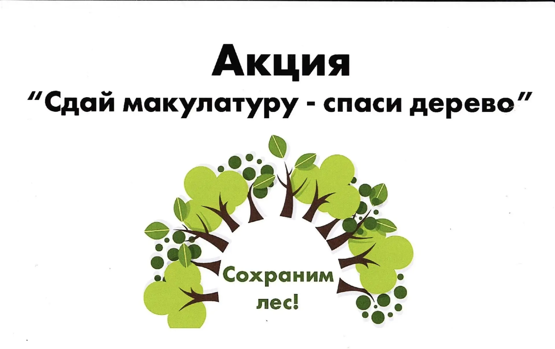 ♻️ Акция «Спаси дерево»: сдай макулатуру — сохрани природу!