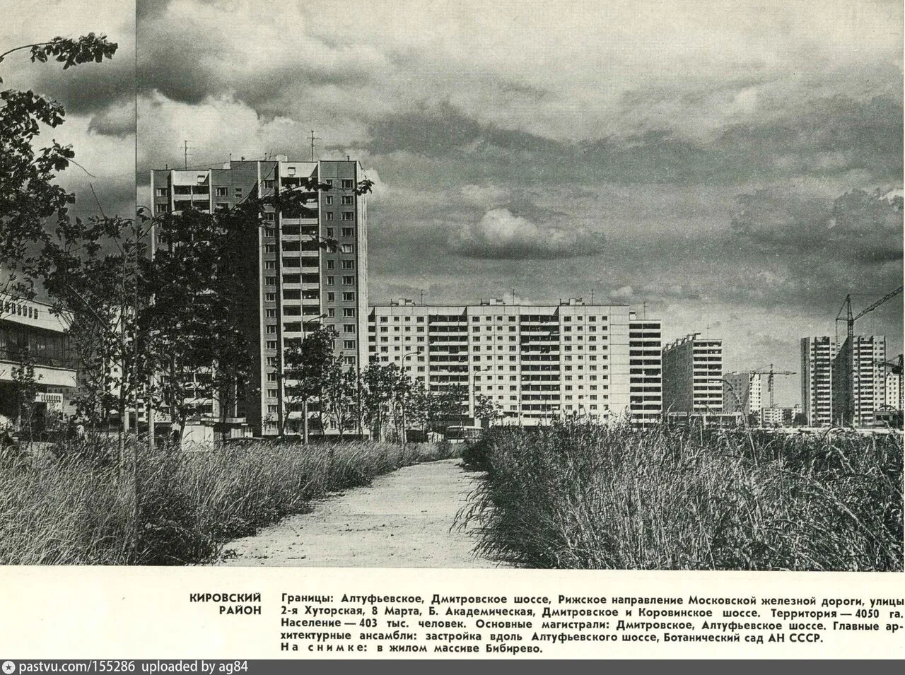 Бибирево