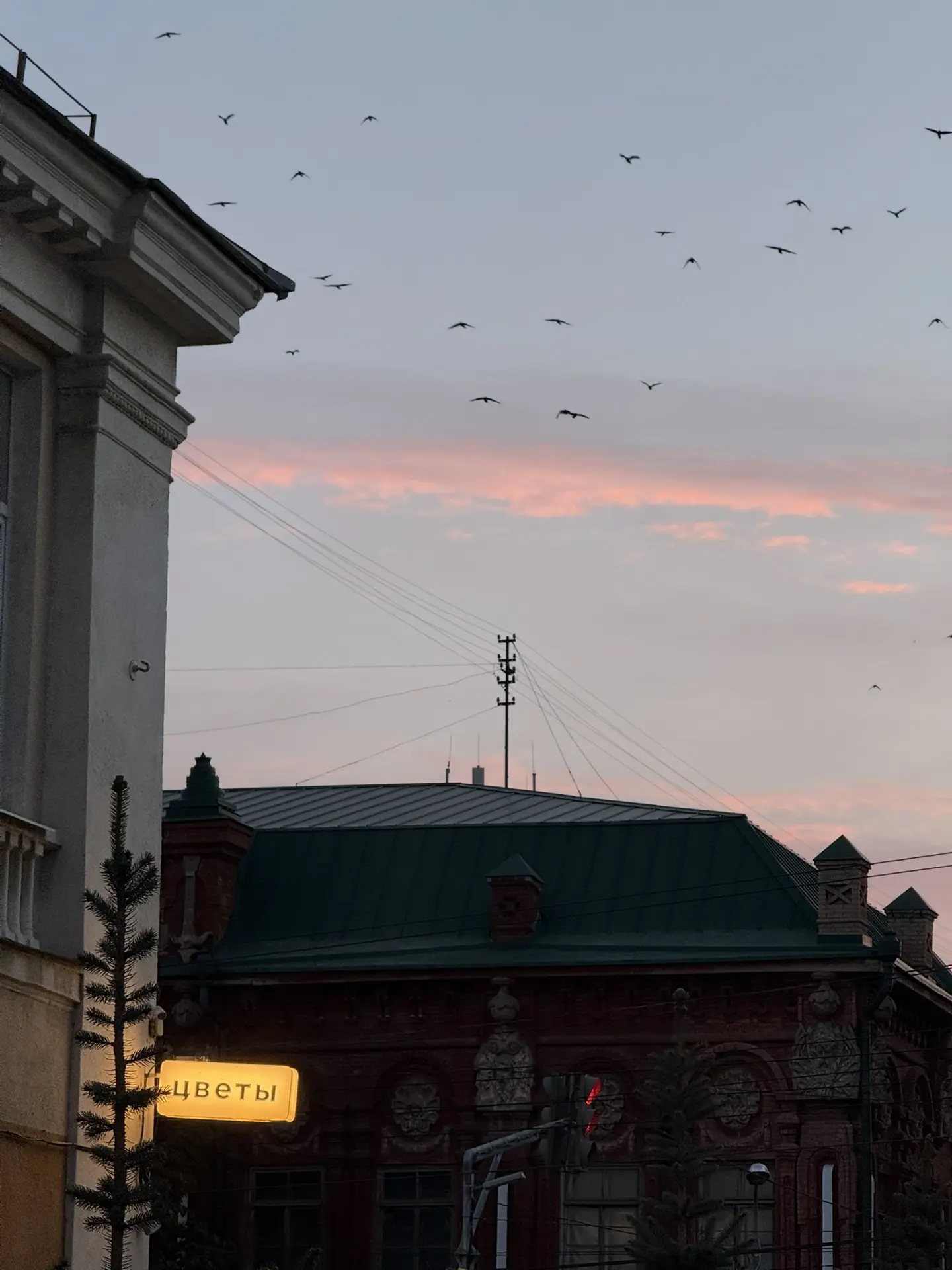 Вечерние огни района ✨