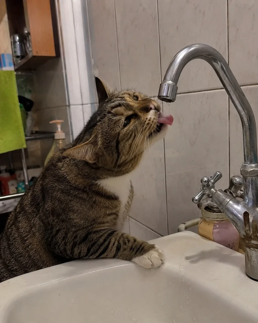 🚰 Холодную воду отключат на Пролетарской