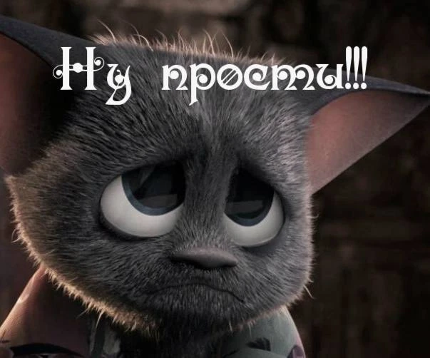 🤔 Когда извиняться не стоит?