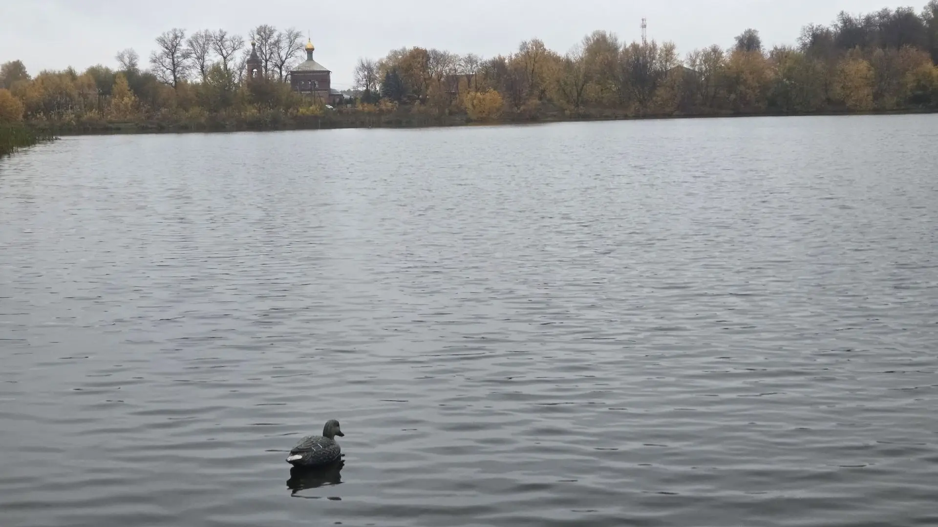 Доброе утро ГЖ.