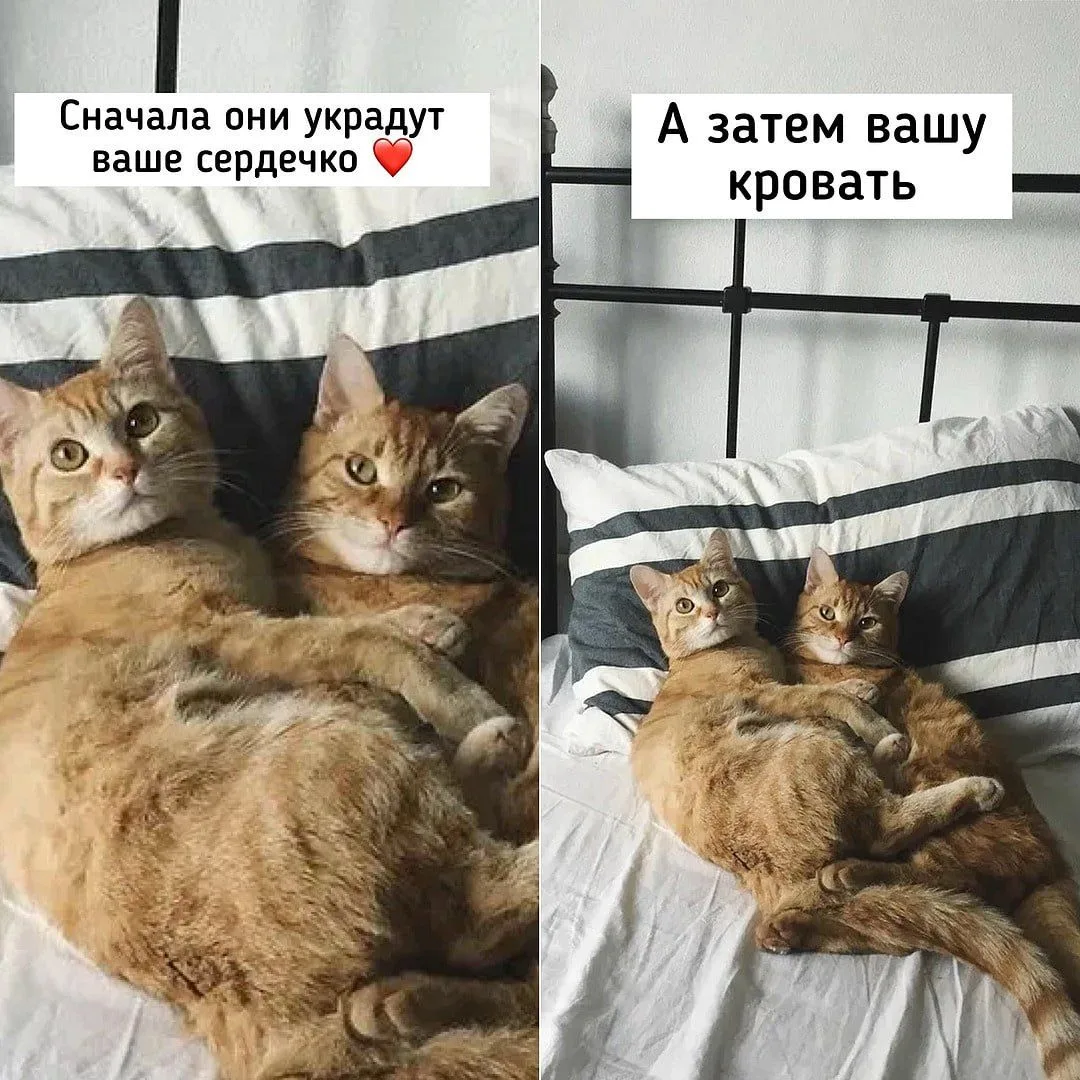 ❗️ЛУЧШИЙ КАТАЛОГ КАНАЛОВ  В MAX ❗️