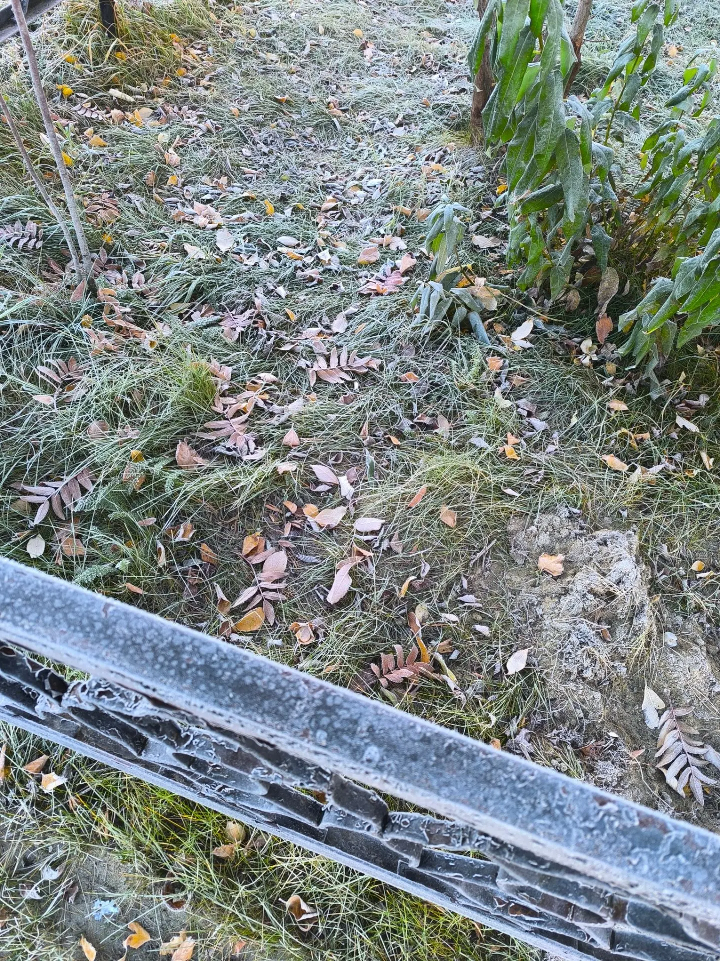 👑ОТПУСК НАЧАЛСЯ👑