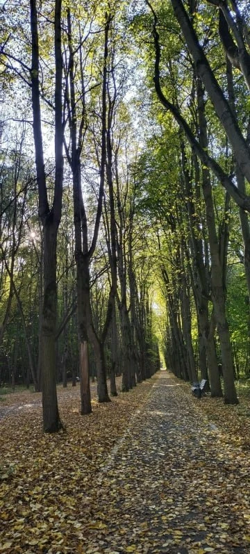 Продолжаем публиковать осень в Вешняках, запечатленную Вами, соседи 😊