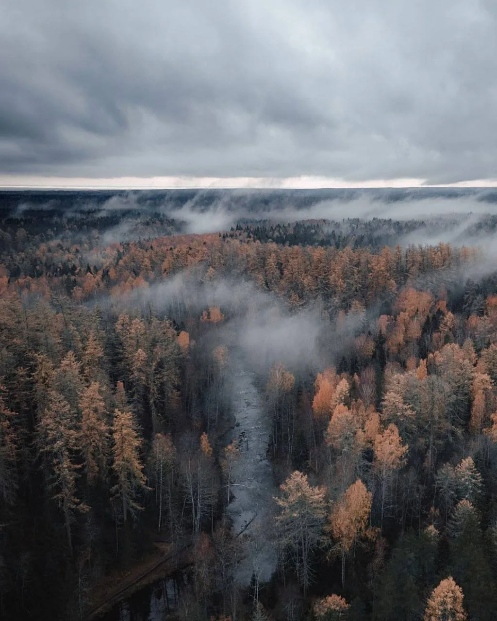 Линдуловская роща — заповедный уголок природы 🌳