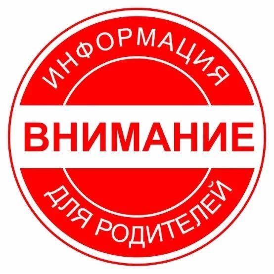 Дети вышли из укрытия!