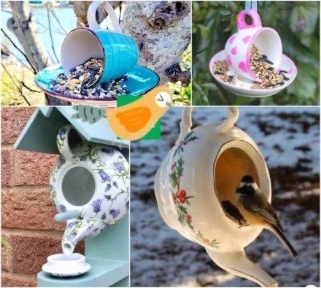 10 отличных птичьих кормушек 🐦