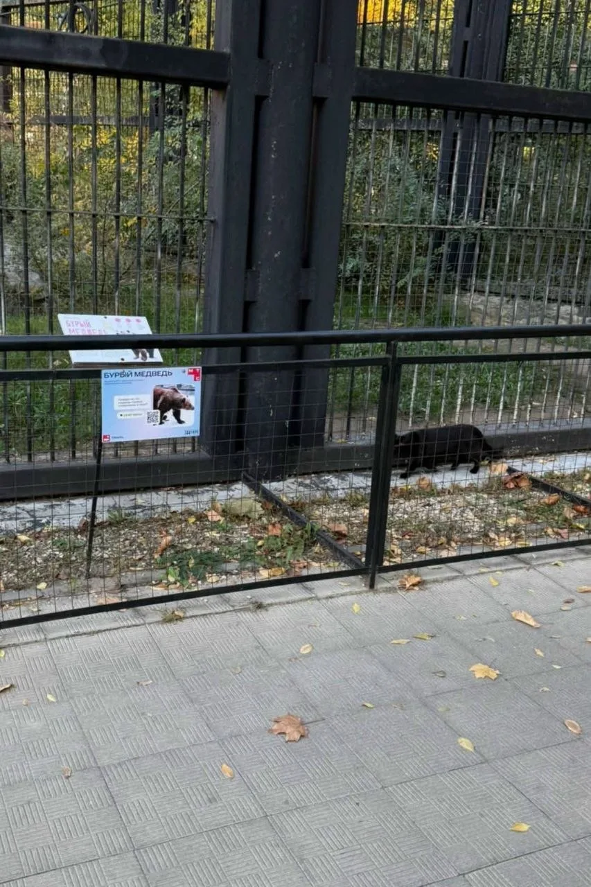 Когда пытаешься быть, кем не являешься.
