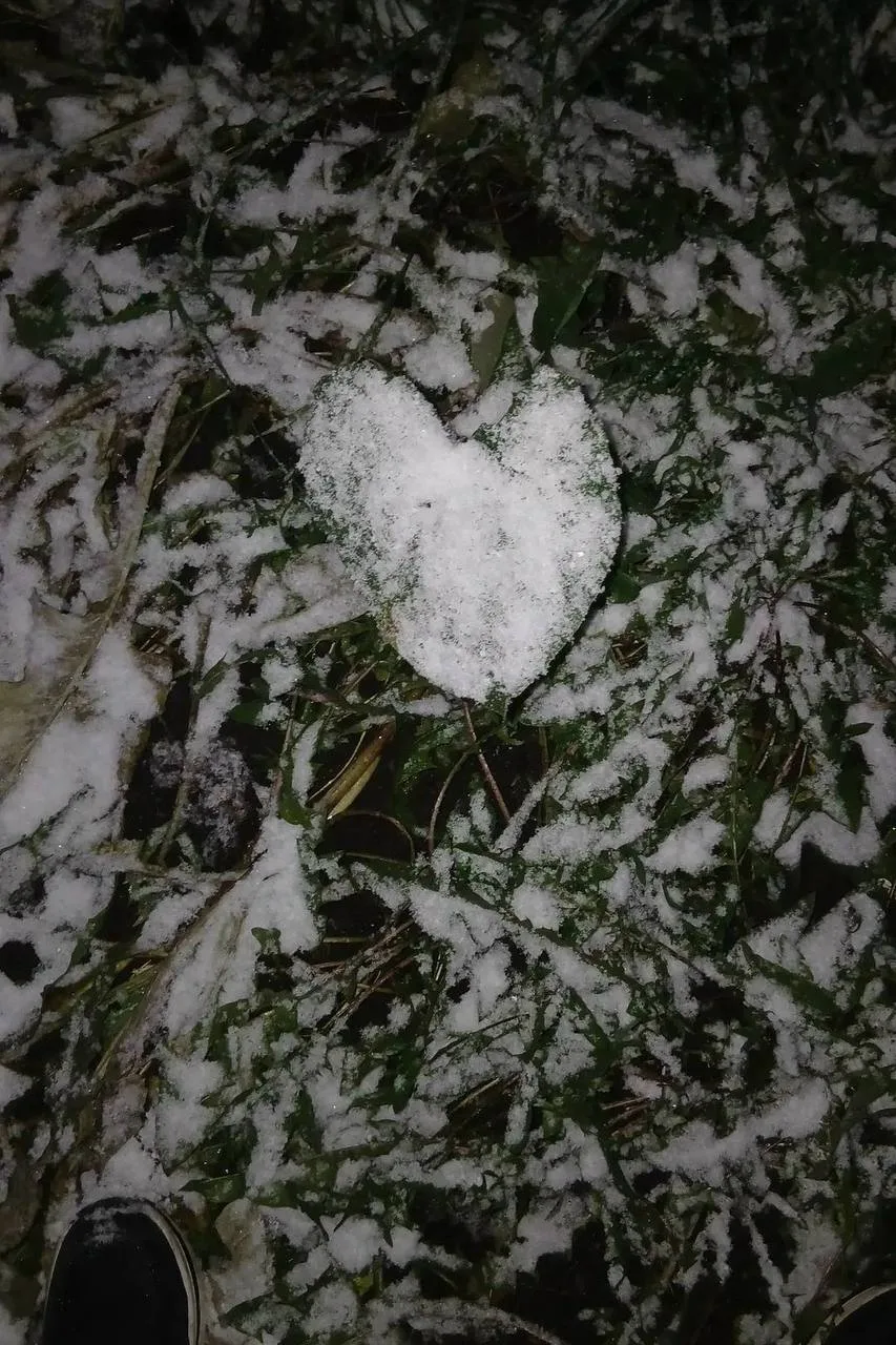 Первый снег выпал и в Белово❄️