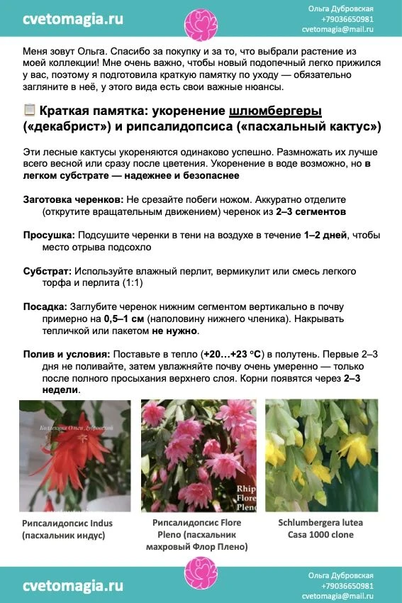Всем привет. Часто спрашиваете в чем разница в уходе между шлюмбергерой и рипсалидопсис...