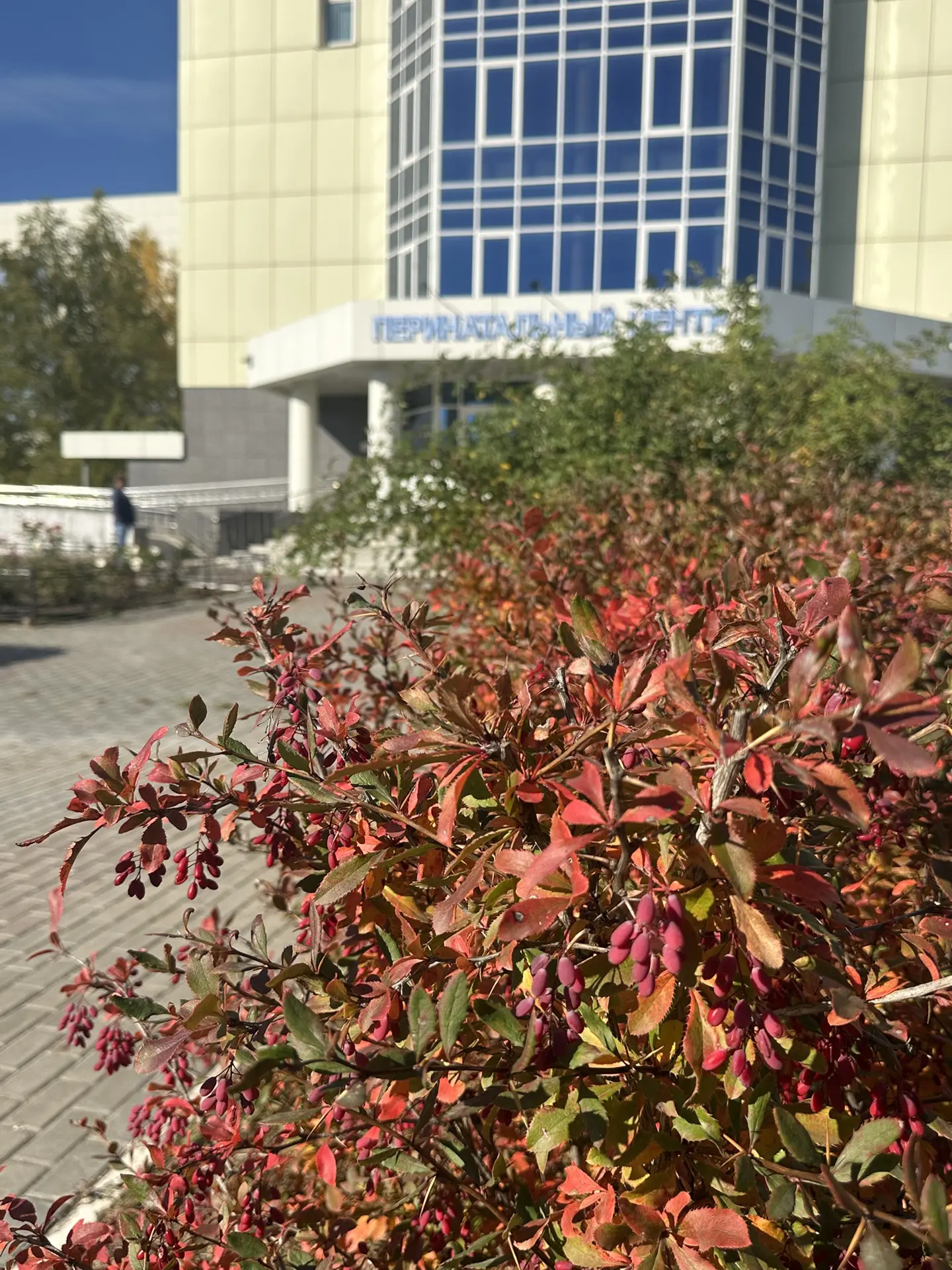 🍂Осенний наряд нашего перинатального центра🍁