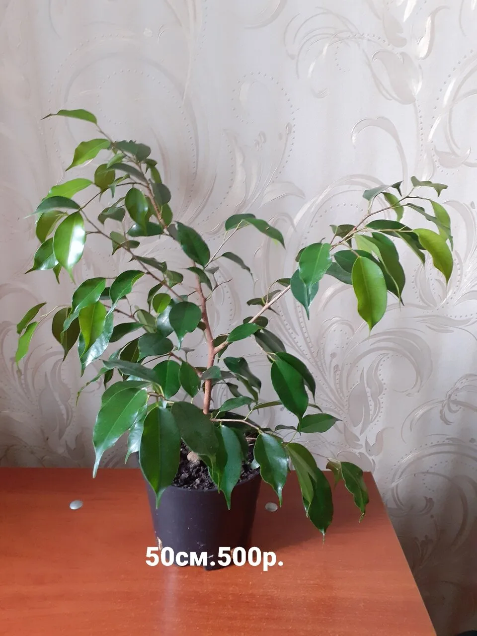 Продам. Звонить 89530454145.Или писать в МАКС. Комментарии не отслеживаю.