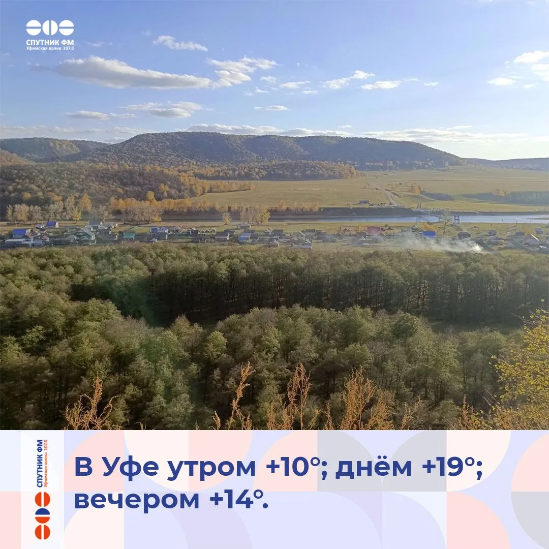 Сегодня День «Побалуйте себя», День засыпающих деревьев и День инфобизнесмена
