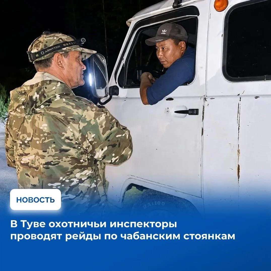 ⚡Из-за выходов бурых медведей к чабанским стоянкам в республике продолжают усиливать ме...