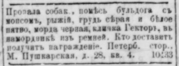 Пропала собака, помесь бульдога с мопсом, рыжий, грудь серая и белое пятно, морда черна...