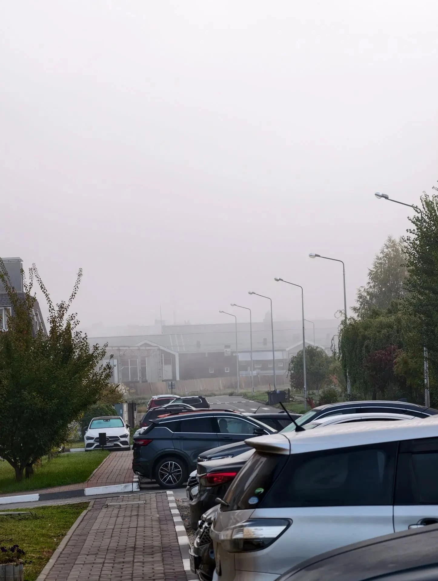 Доброе утро, Разумное!