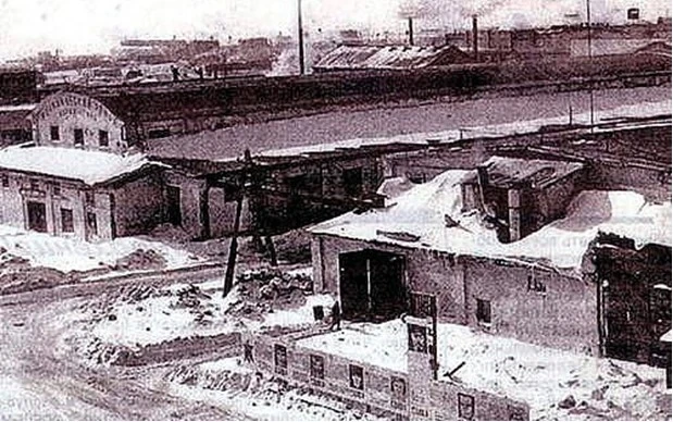 В новой среде обитания