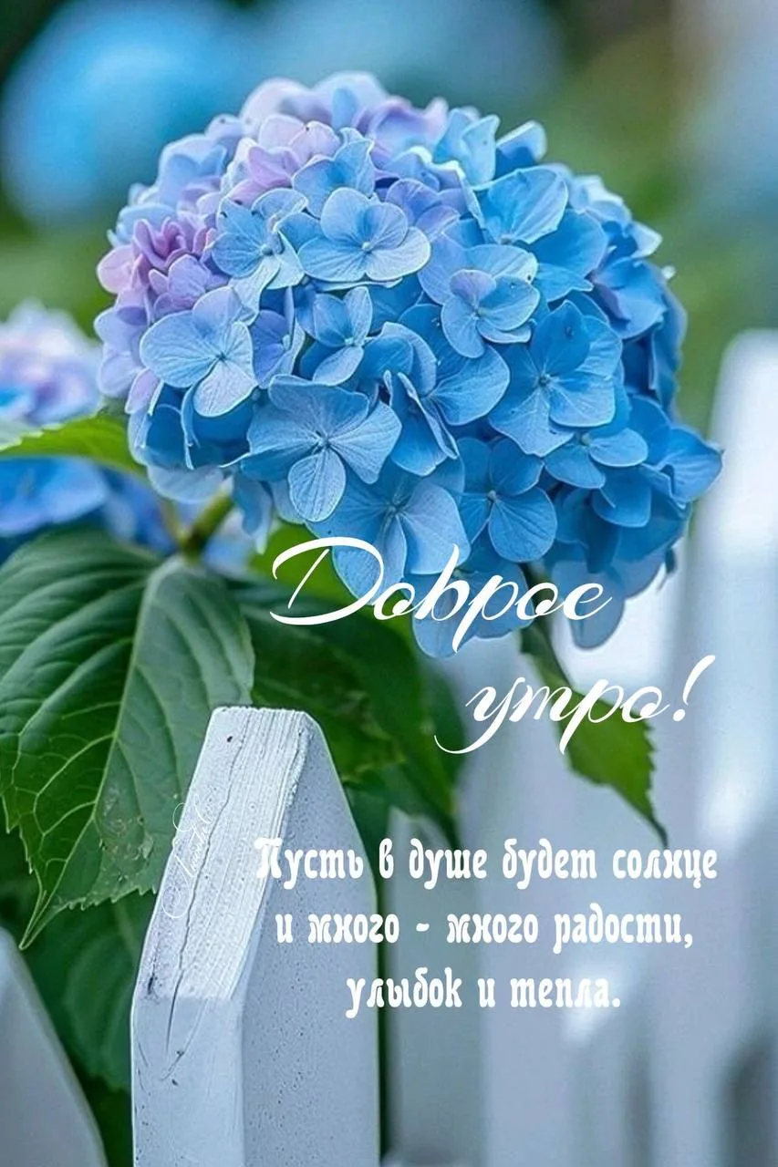 Доброе утро! 🩵🩵🩵