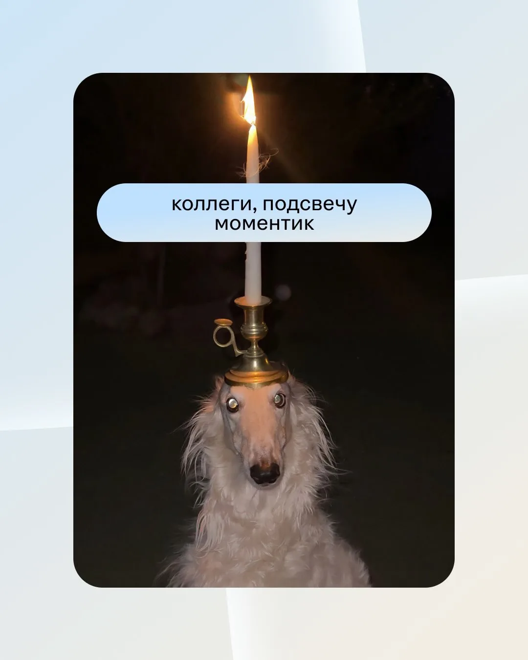 Девчонки, завтра, к сожалению, понедельник!