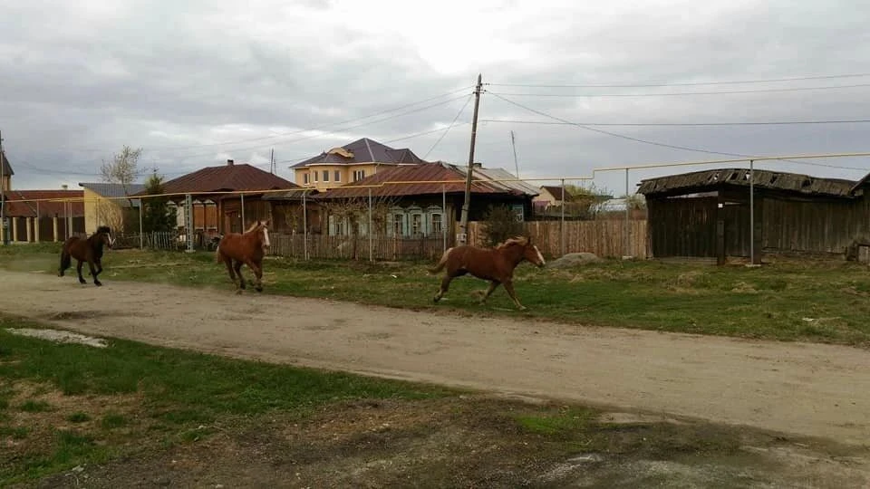 Письмо из армии