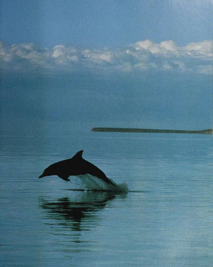экватор