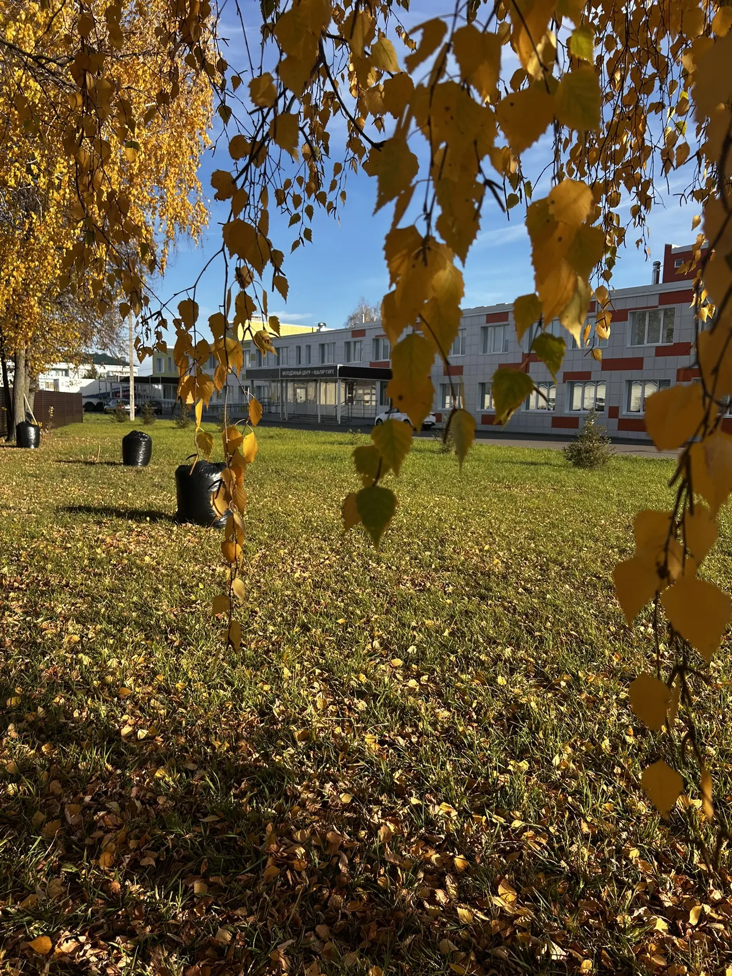 🍁 Осень — время не только для пледов, но и для добрых дел!