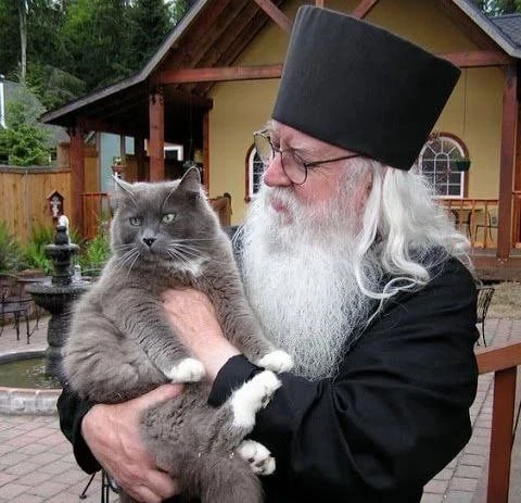 💚Лапы и хвосты - это еще не кот. Кот это помощник тишины, уюта и ласки родного дома. Т...