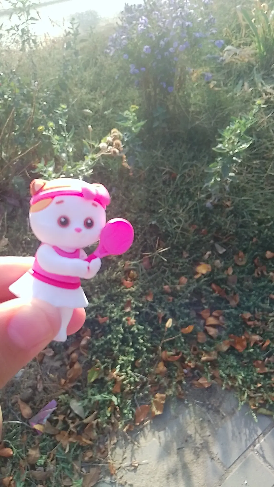 мы с настей и лили идем на тринеровку:)