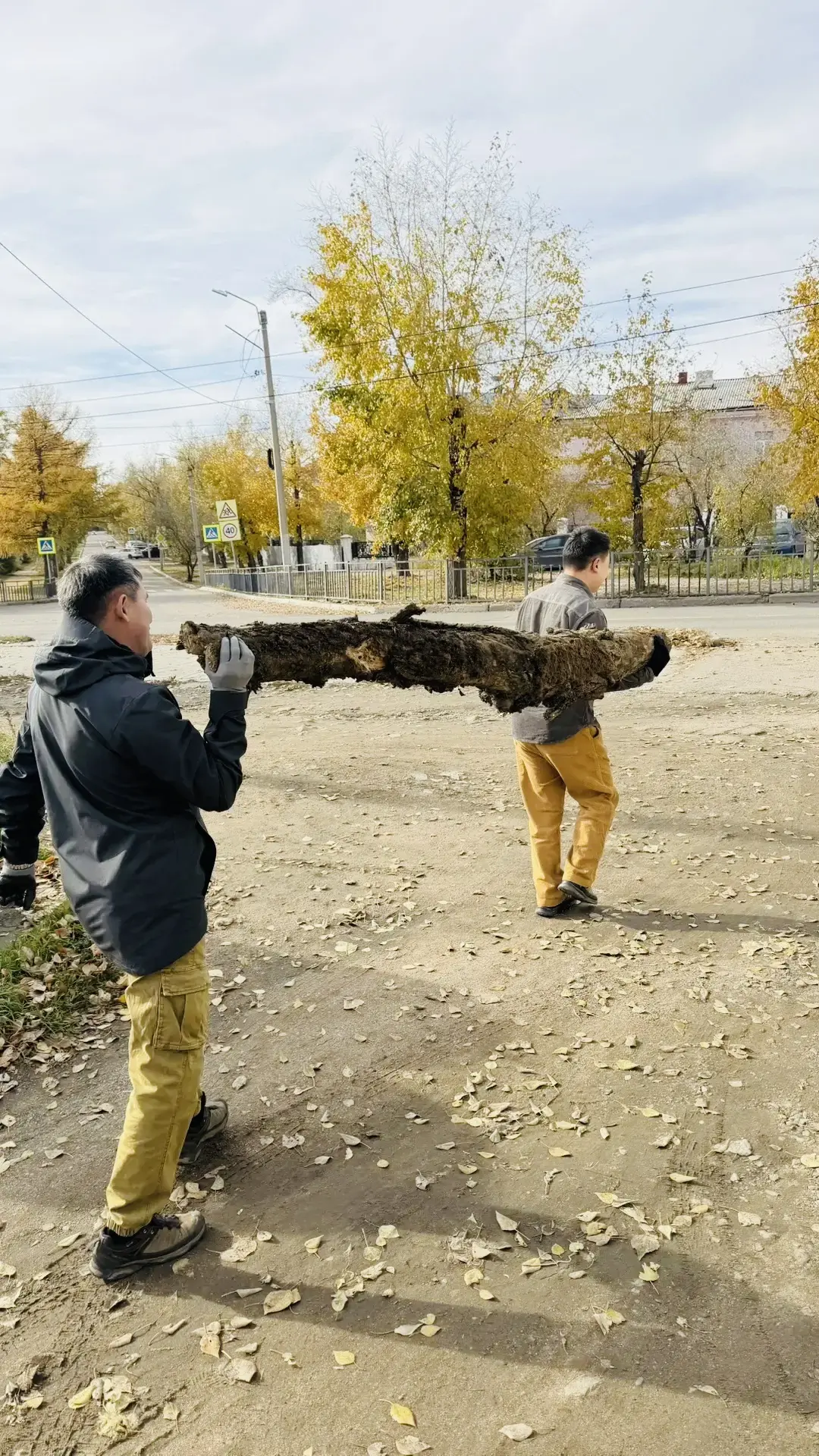 Осенний месячник чистоты в Железнодорожном районе