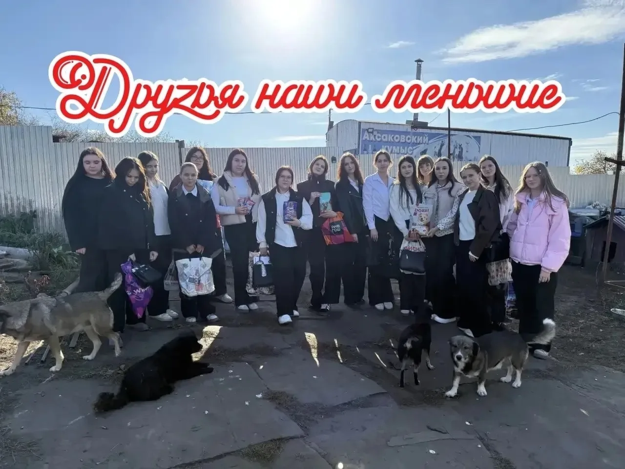 🐾 Добро начинается с заботы о тех, кто рядом