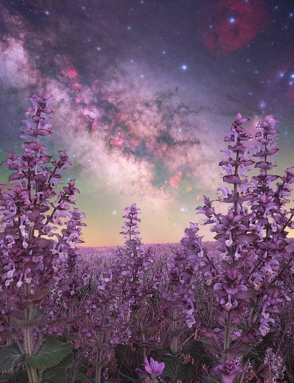 🌌🌸 Млечный Путь и цветочки!