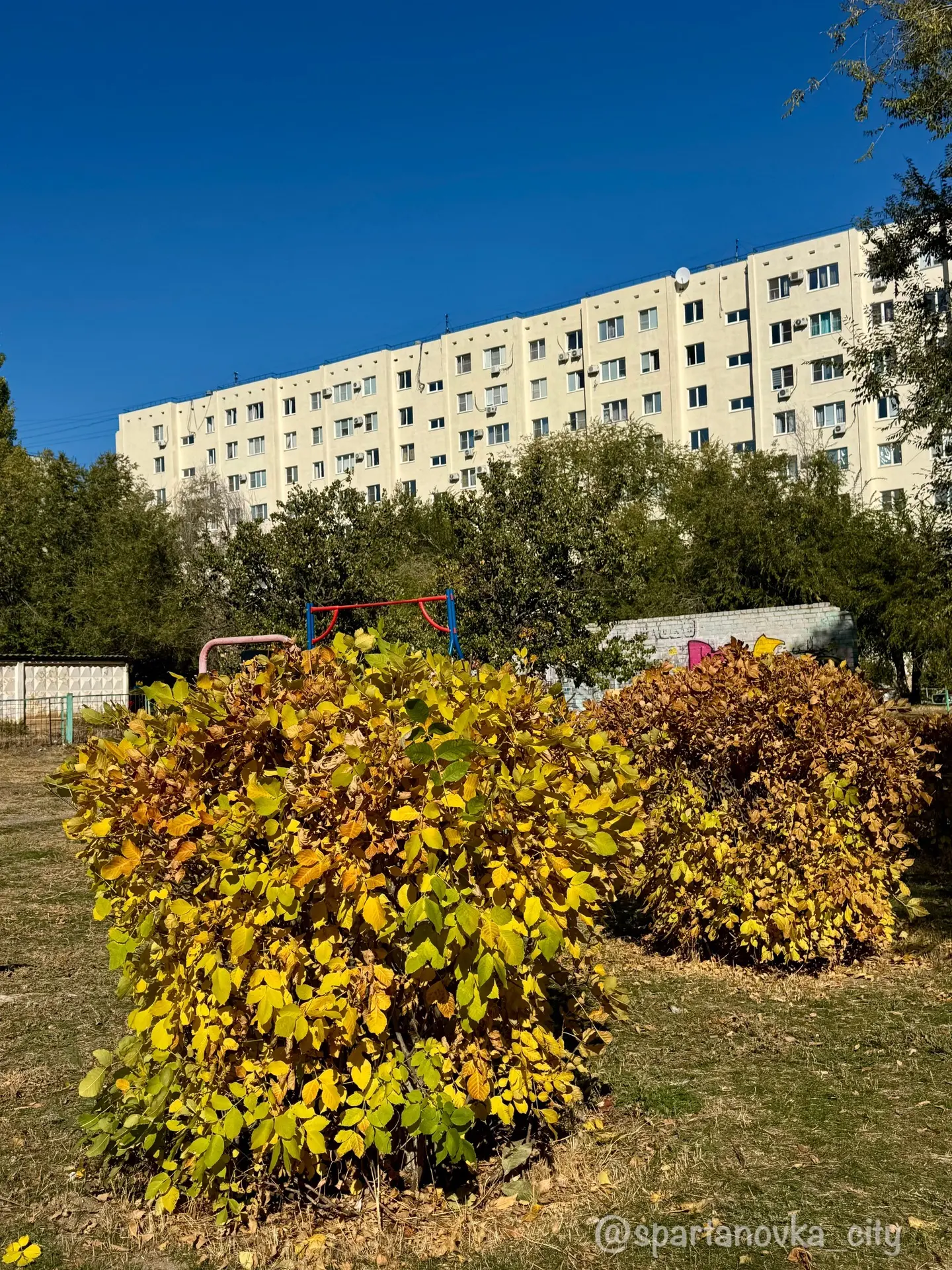Доброго утра и хорошего дня всем!❤️