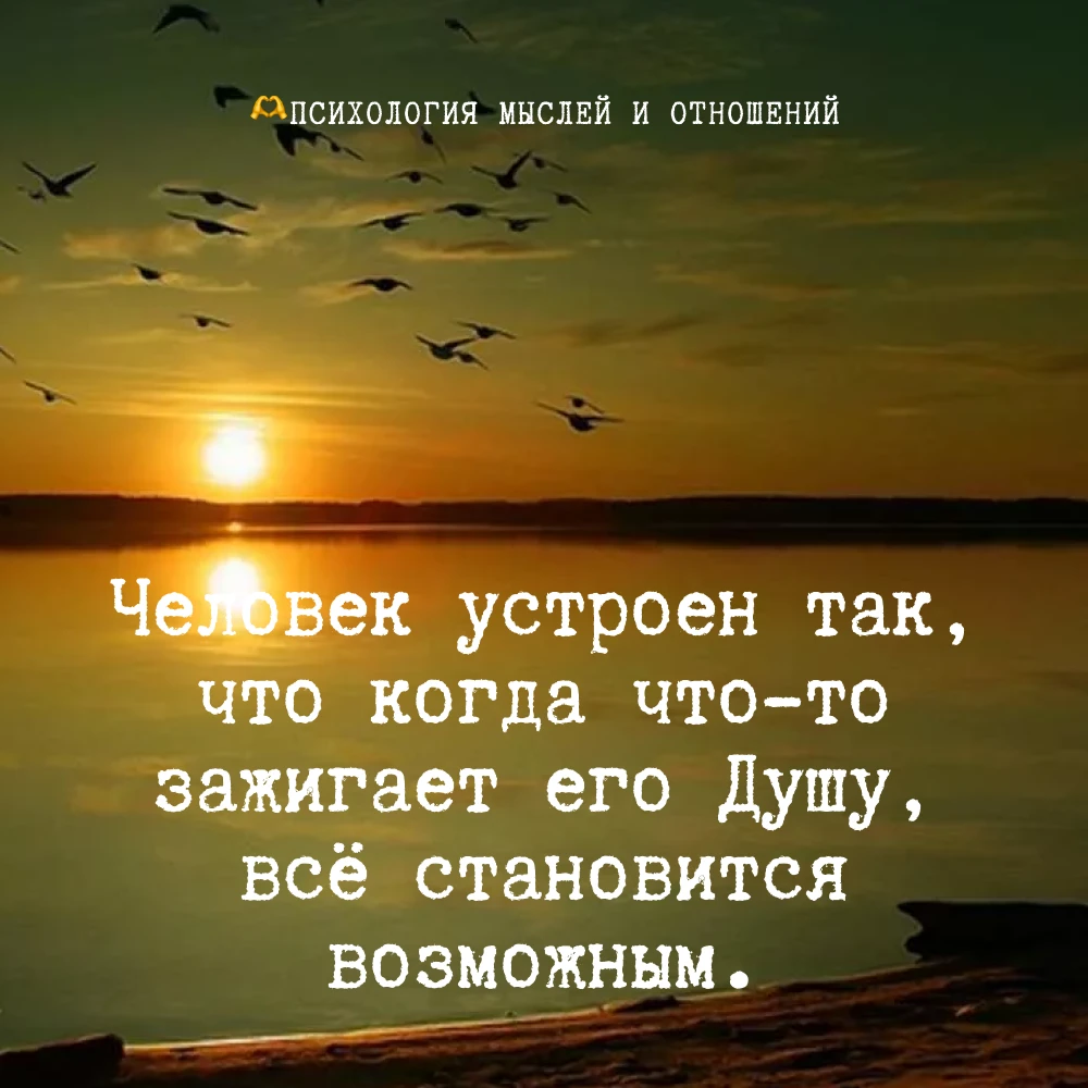 Я двадцать лет жила по расписанию. Работа, дом, муж, дети, снова работа. Всё правильно,...