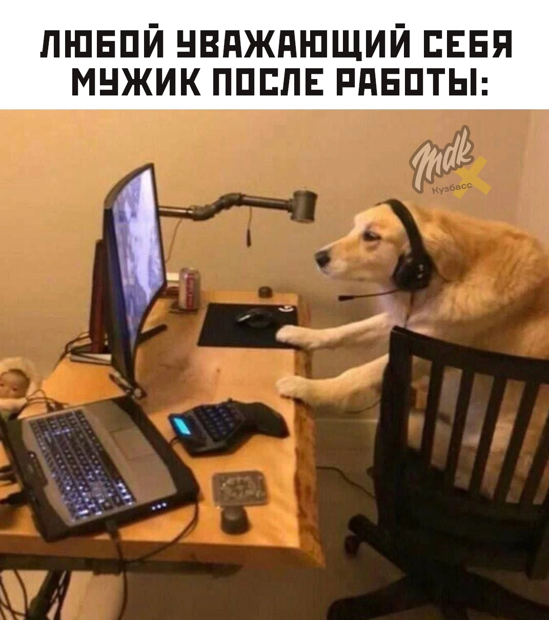 MDK Кузбасс👉подписаться