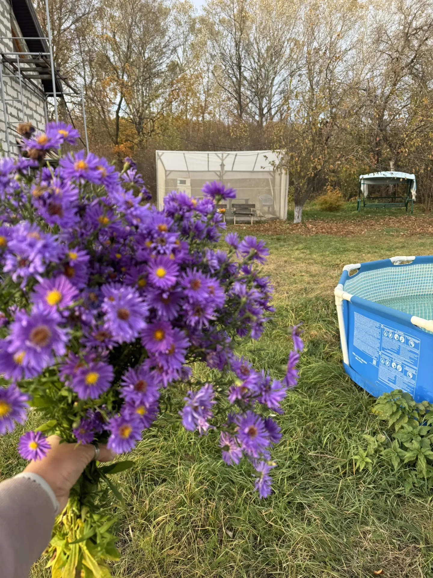 Закрыли сезон 💜