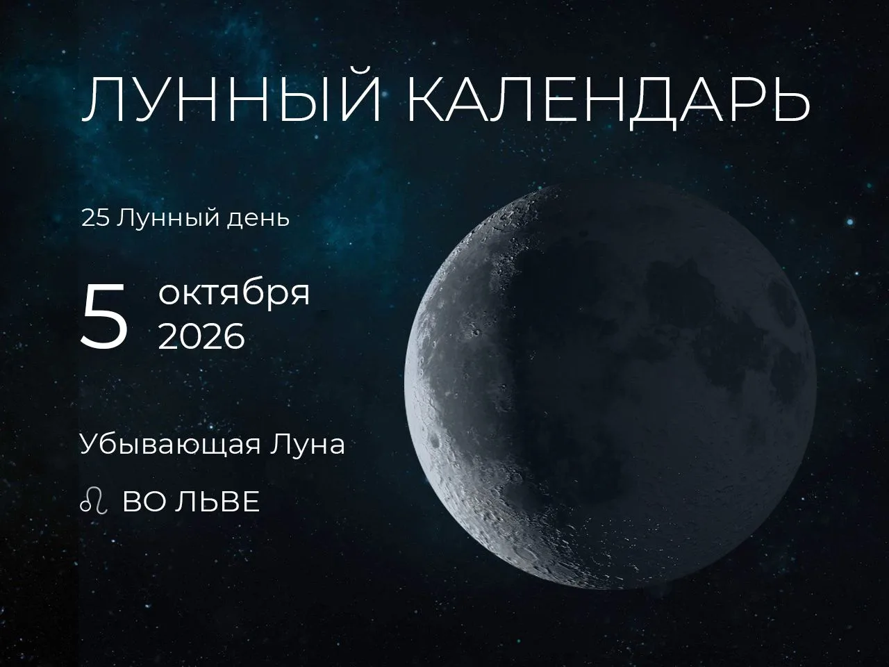 📆 Рекомендации дня: