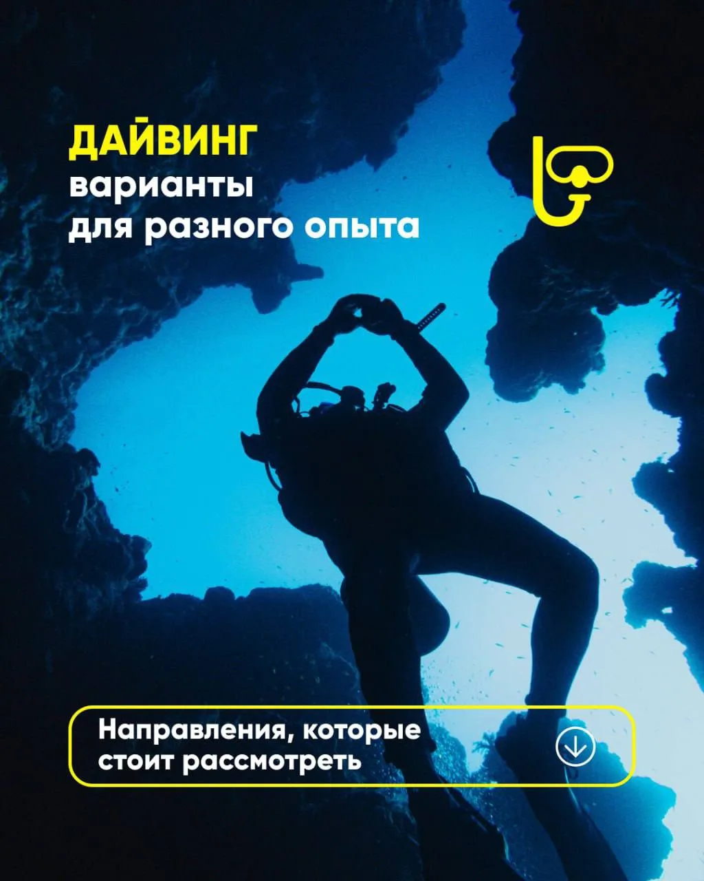 Дайвинг: направления для разного опыта