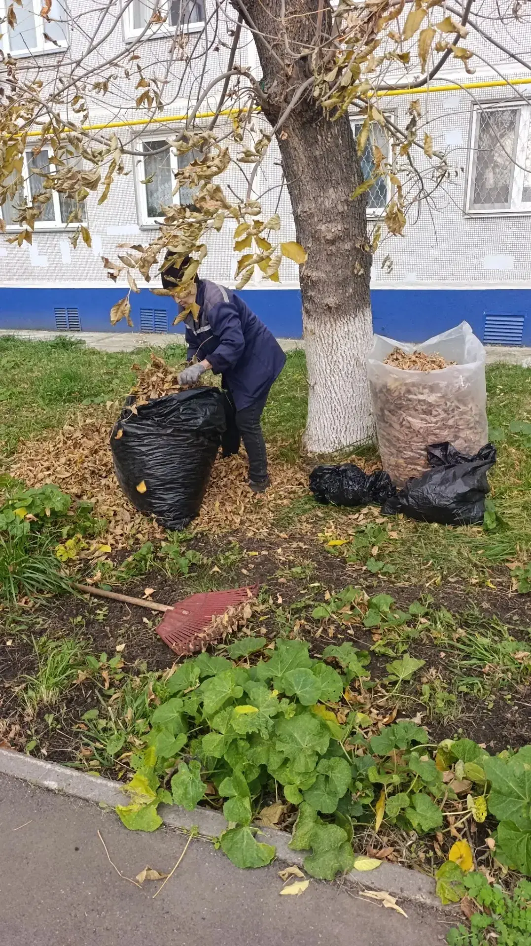 👏🍂«Чтобы радоваться чистоте, чтобы душа пела!»: В Челнах продолжается осенний санитар...