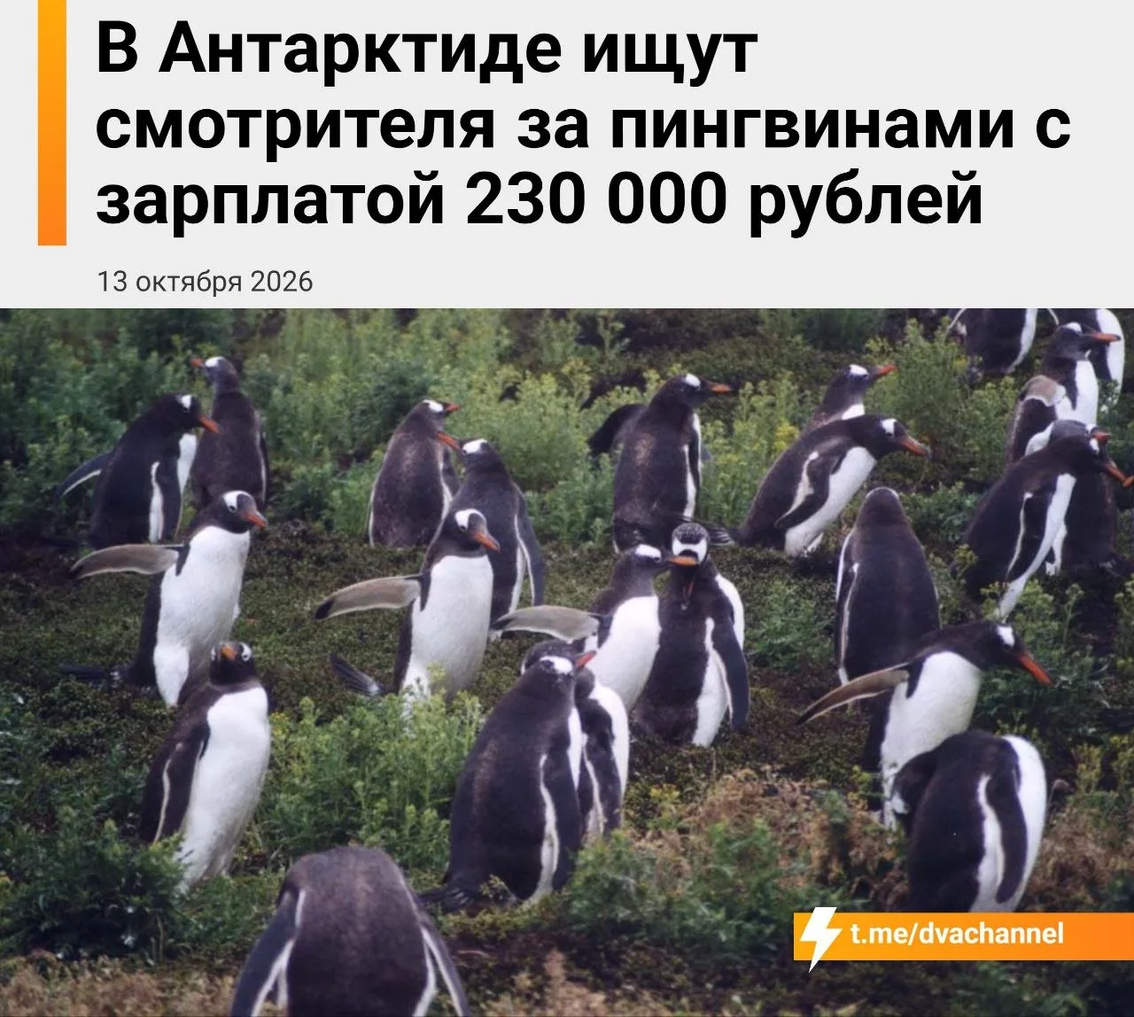 Не штурм
