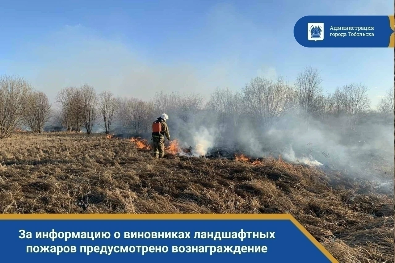 Внимание, тоболяки! В Тюменской области действует Порядок выплаты вознаграждений гражда...