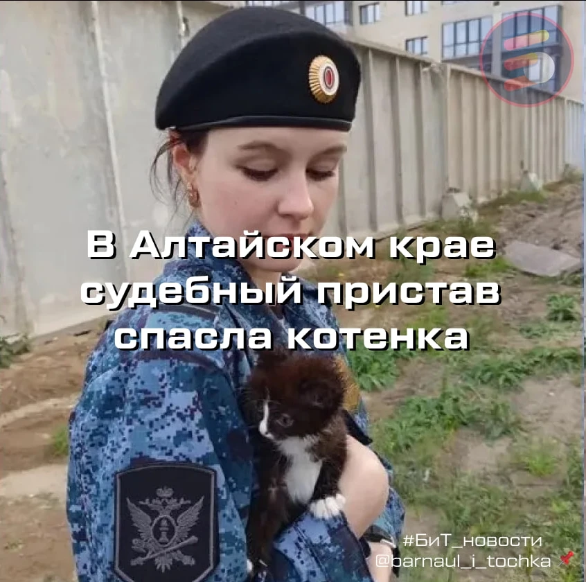 🐾 В Алтайском крае судебный пристав спасла котенка и нашла ему семью