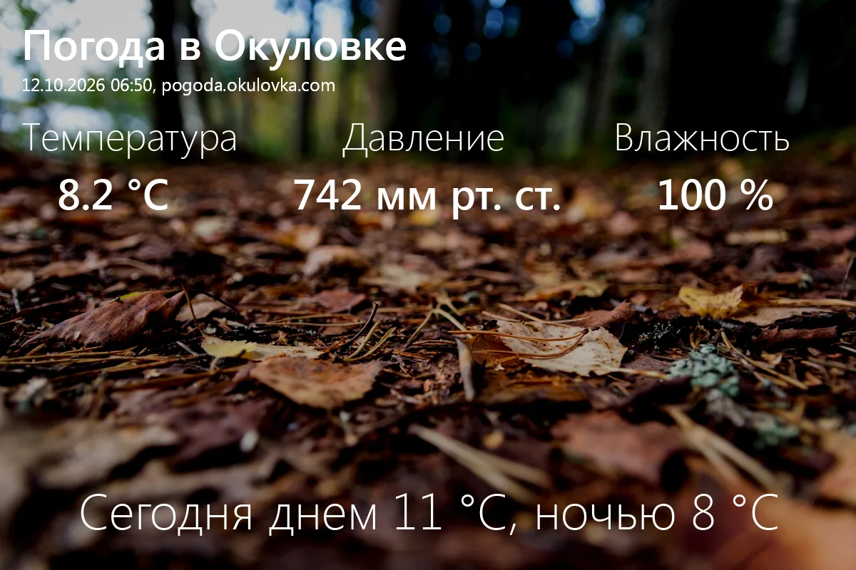 Доброе утро! Сейчас в Окуловке 8.2 °C, давление 742 мм.рт.ст., влажность 100%.
