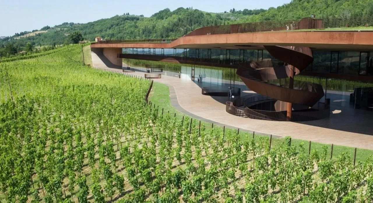 🍇 Из элитной винодельни Marchesi Antinori в Италии похитили вино на €5 млн, — Financia...