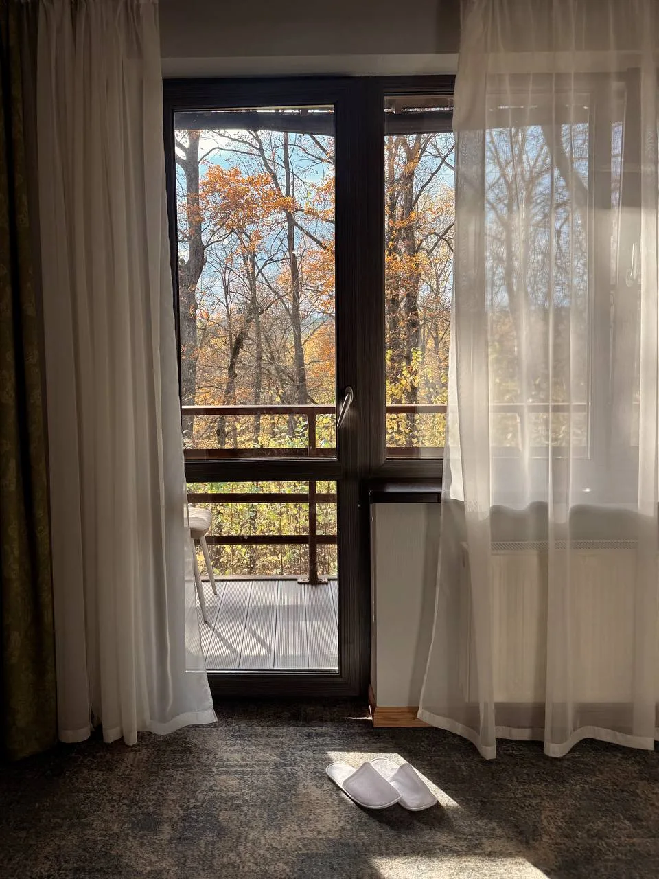 Делюсь впечатлениями о нашем прекрасном отдыхе недалеко от Москвы 🍂